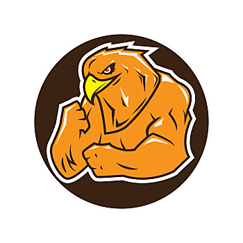 强健,鹰,强势