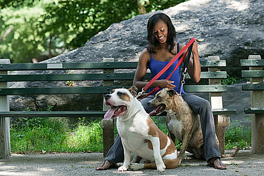 坐,女人,公园长椅,两只,狗