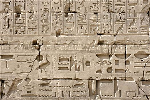 象形文字,石头,卡尔纳克神庙,路克索神庙,埃及,非洲