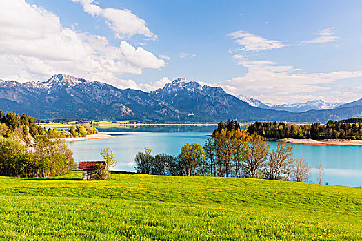 湖,阿尔卑斯山,山脉,背景,巴伐利亚,德国