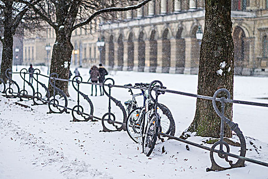 德国,巴伐利亚,慕尼黑,宫廷花园,公园,早,雪