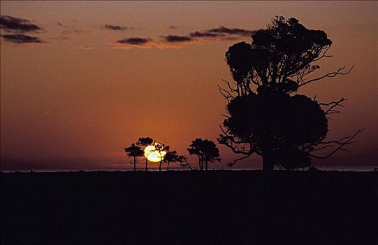 日落,北岛,新西兰