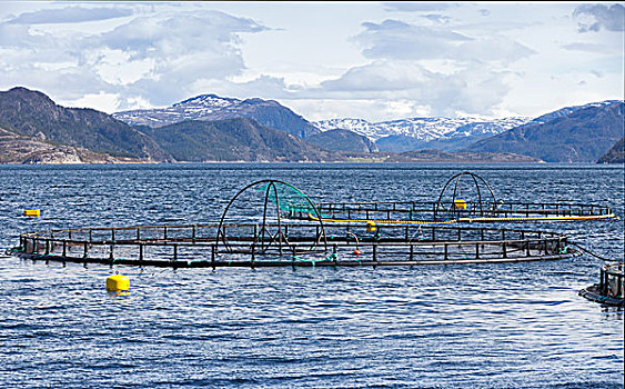 挪威,养鱼场,三文鱼,地表水流