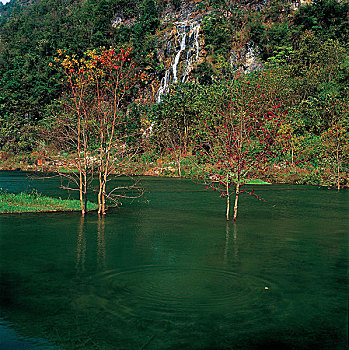 荔波樟江风景名胜区