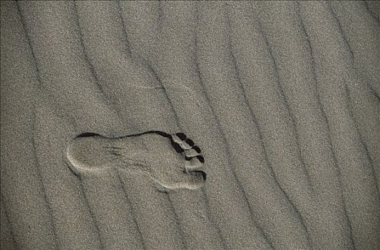 脚印,俄勒冈海岸