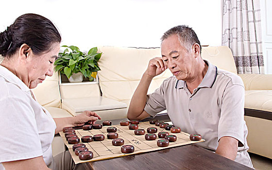 两位老年人下象棋