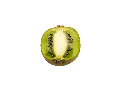 猕猴桃,切,一半,白色背景,背景