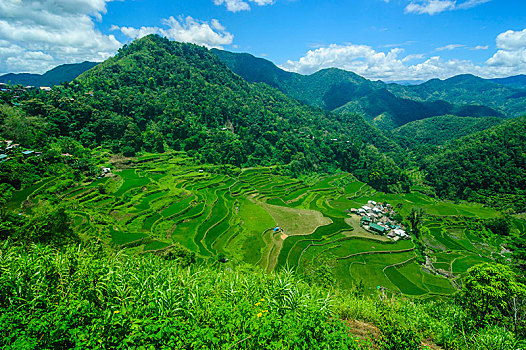 稻米梯田,巴纳韦,北方,吕宋岛,菲律宾,亚洲