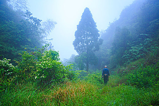 山路,登山,驴友,爬山