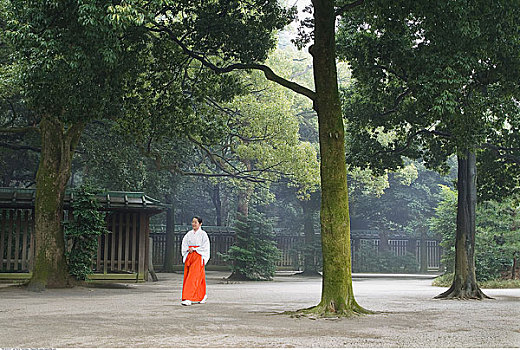 艺伎,走,神祠,东京,日本