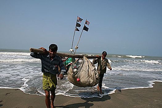 渔民,海洋,沙阿,岛屿,市场,孟加拉,2008年