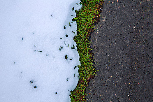 雪,道路,草皮,草,线条,纹理,特写