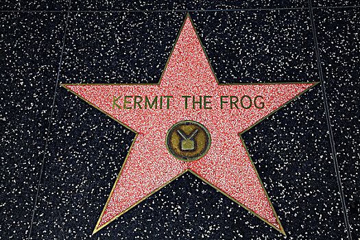 洛杉矶,好莱坞,青蛙,星,好莱坞星光大道,好莱坞大道