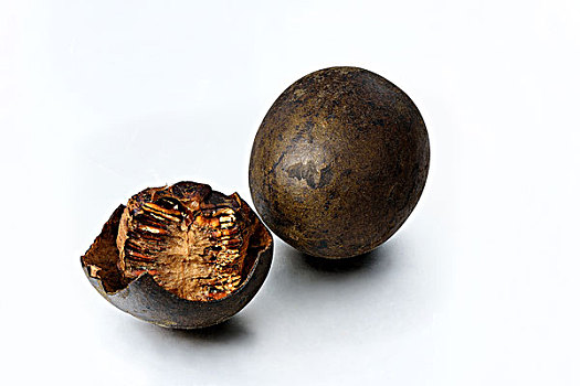 羅漢果
