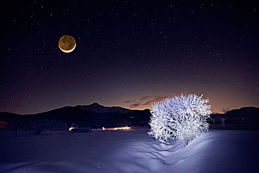 月亮,冬天