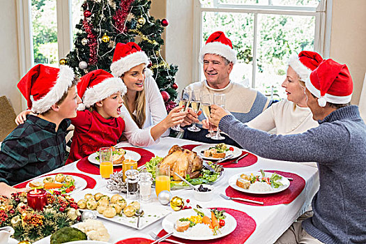 家庭,圣诞帽,祝酒