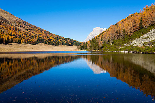 反射,水上,秋天,全景,高山湖