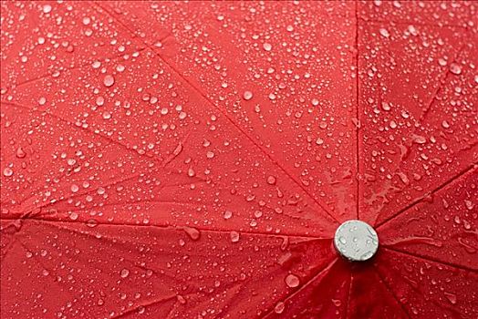 特写,红色,伞,遮盖