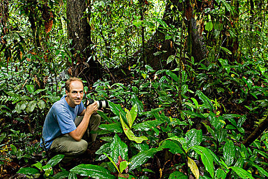 摄影师,低地,雨林,山,公园,沙巴,婆罗洲,马来西亚