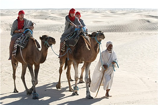 贝都因人,旅游,骆驼
