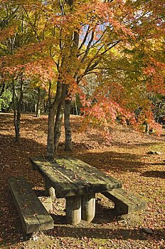 野餐桌,公园,箱根,本州,日本
