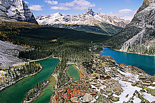 欧哈拉湖,教堂山,橙色,苔藓,积雪,边缘,幽鹤国家公园,不列颠哥伦比亚省,加拿大