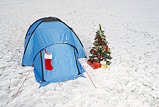 圣诞树,帐蓬,雪中