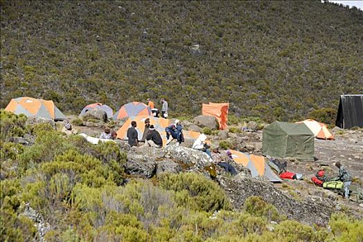 帐篷,小屋,露营,路线,乞力马扎罗山,坦桑尼亚