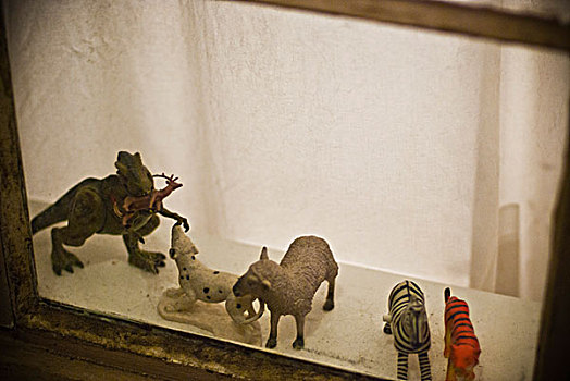 野生动物,小雕像,窗户