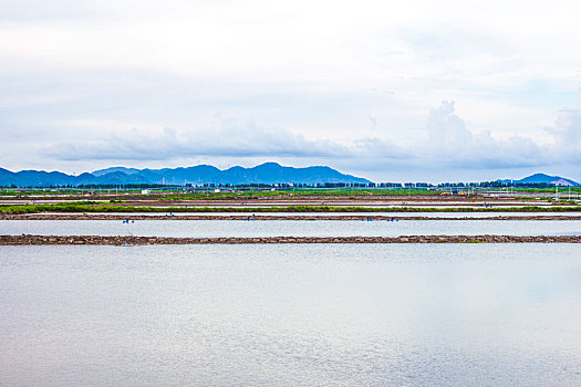 江门银湖湾湿地风光