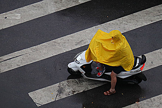 雨中行