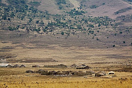 马萨伊,乡村,靠近,恩戈罗恩戈罗火山口,坦桑尼亚
