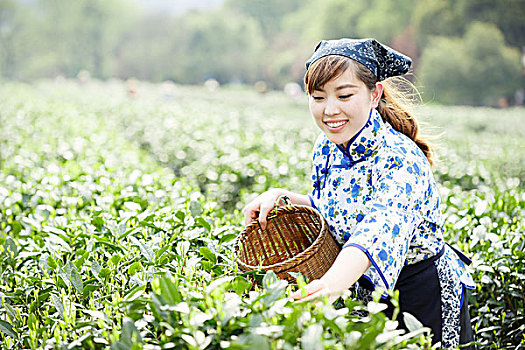 亚洲人,漂亮,女孩,种植园