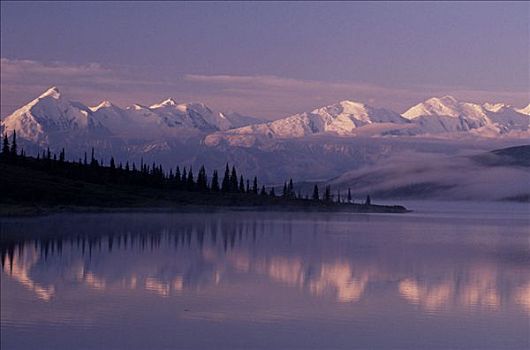 旺湖,阿拉斯加山脉,德纳里峰,公园,室内,反射