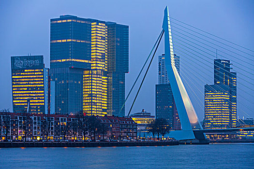 天际线,河,桥,摩天大楼,区域,鹿特丹,荷兰,欧洲