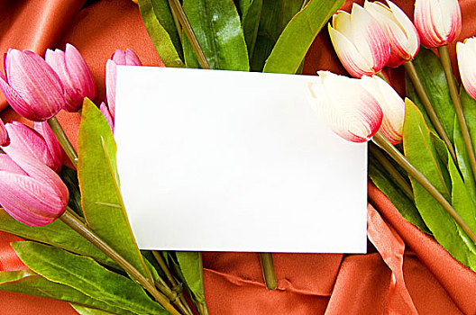信封,花,绸缎,背景