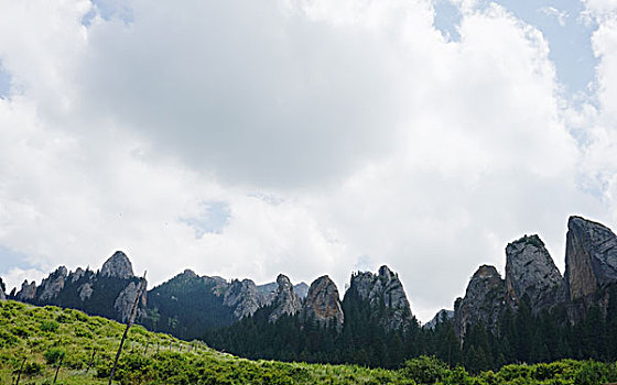 则岔石林