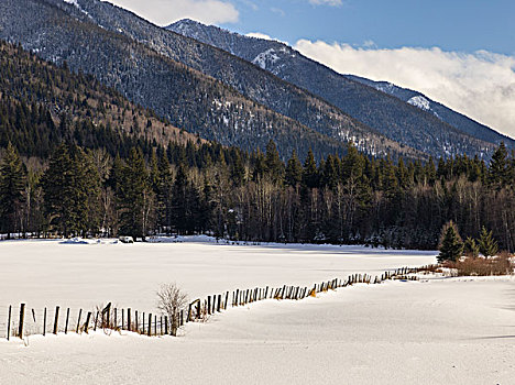 围栏,积雪,地点,公路,不列颠哥伦比亚省,加拿大