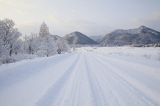 雪路