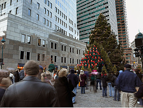 圣诞树,城市广场,纽约,美国