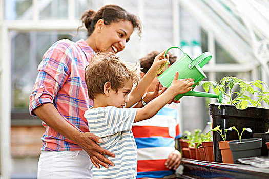 中年,女人,两个,儿子,浇水,植物,温室
