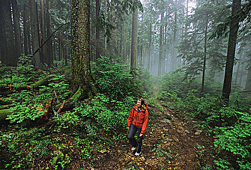 女人,远足,顶峰,小路,地方公园,温哥华,不列颠哥伦比亚省,加拿大