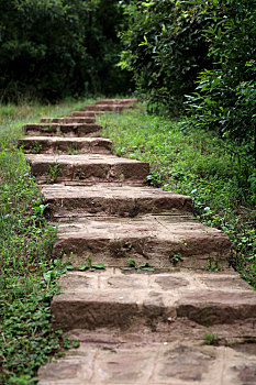 山间小路