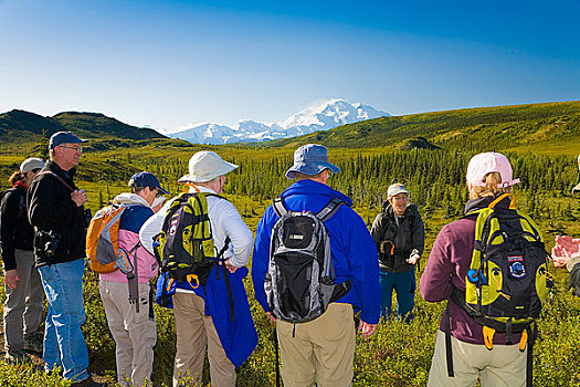 远足者,山,麦金利山,德纳里峰国家公园,室内,阿拉斯加