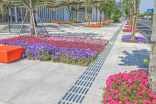 城市街道边色彩鲜艳的花草