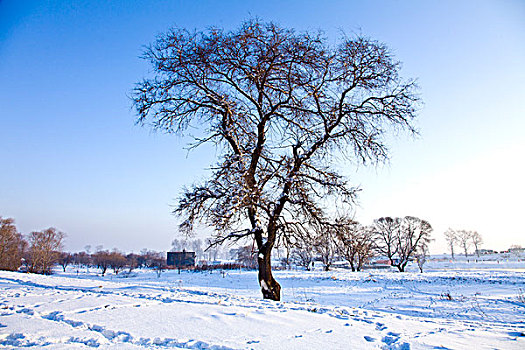 雾凇岛,冰雪,自然风光,吉林,龙潭区