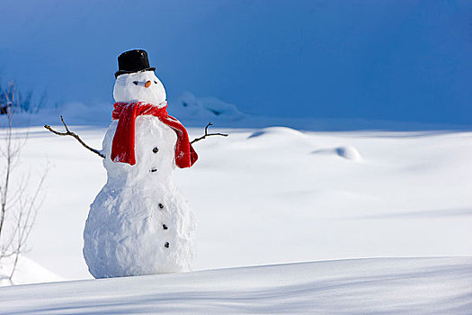 雪人,红色,围巾,黑色上衣,帽子,坐,靠近,积雪,河床,阿拉斯加,冬天