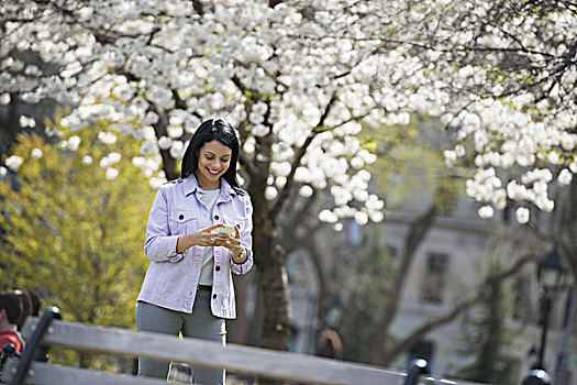 纽约,公园,白花,树,女人,拿着,手机,微笑