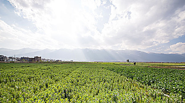 田园风光