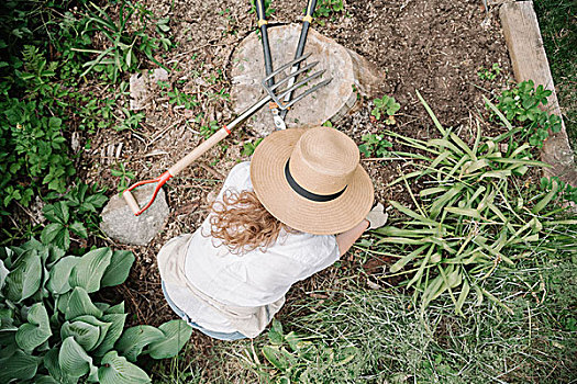 女人,宽,草帽,工作,花园,挖